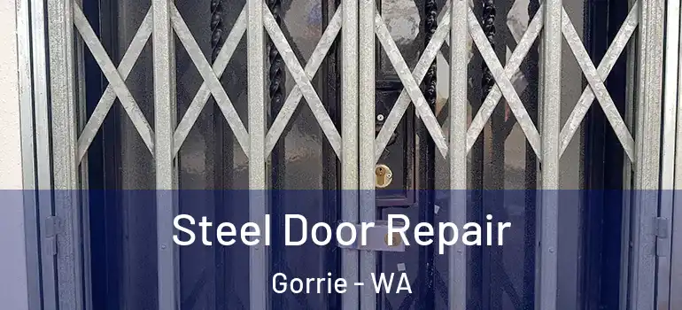 Steel Door Repair Gorrie - WA