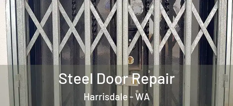 Steel Door Repair Harrisdale - WA
