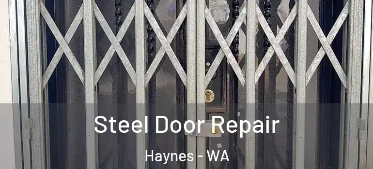 Steel Door Repair Haynes - WA