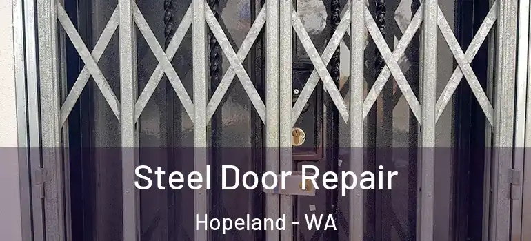 Steel Door Repair Hopeland - WA
