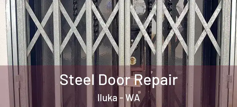 Steel Door Repair Iluka - WA