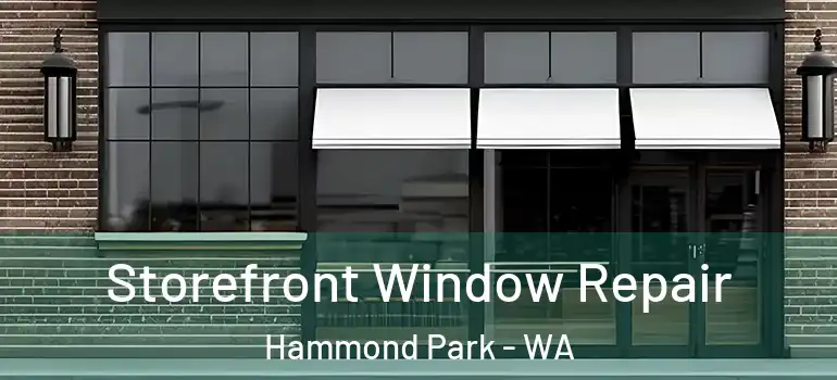  Storefront Window Repair Hammond Park - WA