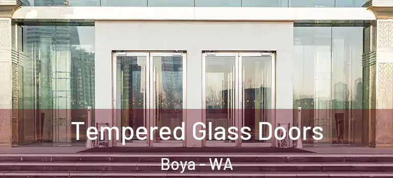  Tempered Glass Doors Boya - WA