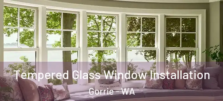  Tempered Glass Window Installation Gorrie - WA