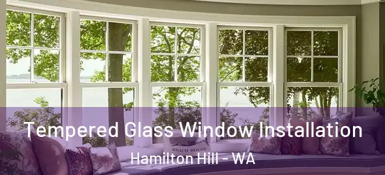 Tempered Glass Window Installation Hamilton Hill - WA
