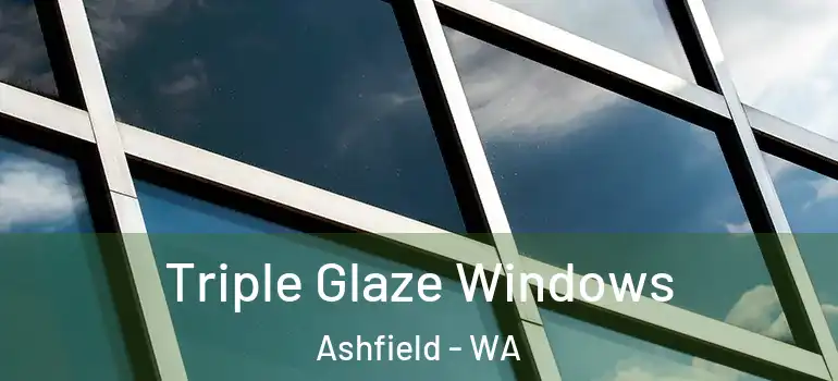 Triple Glaze Windows Ashfield - WA