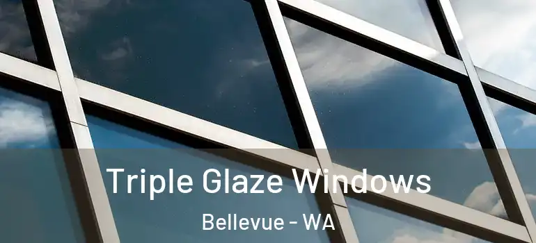  Triple Glaze Windows Bellevue - WA