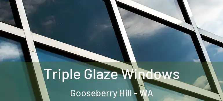 Triple Glaze Windows Gooseberry Hill - WA