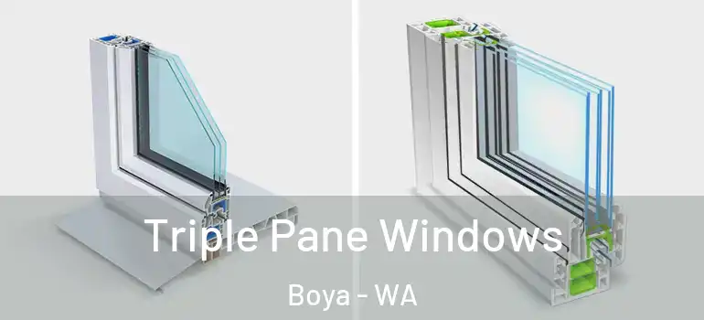 Triple Pane Windows Boya - WA