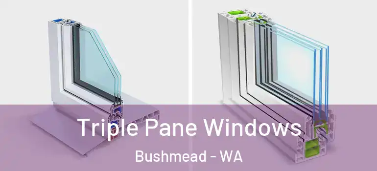 Triple Pane Windows Bushmead - WA