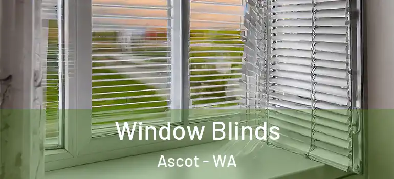  Window Blinds Ascot - WA