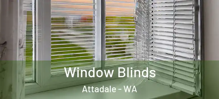  Window Blinds Attadale - WA