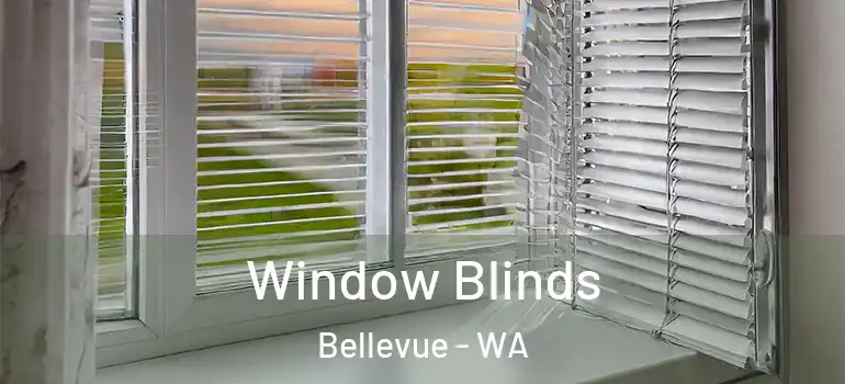  Window Blinds Bellevue - WA
