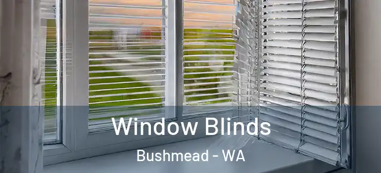  Window Blinds Bushmead - WA