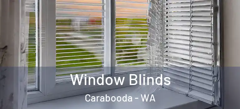  Window Blinds Carabooda - WA