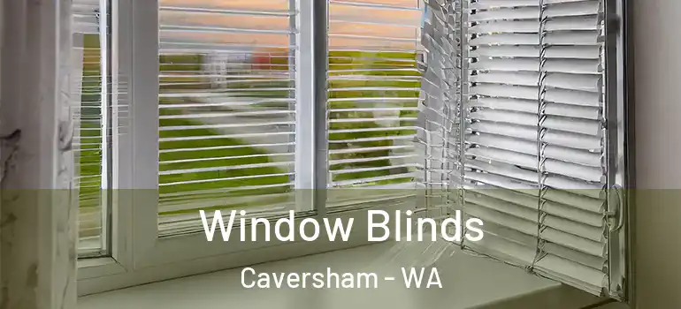 Window Blinds Caversham - WA