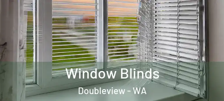 Window Blinds Doubleview - WA