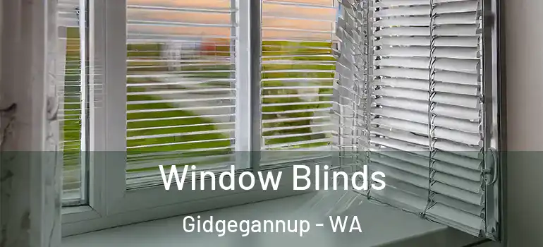  Window Blinds Gidgegannup - WA