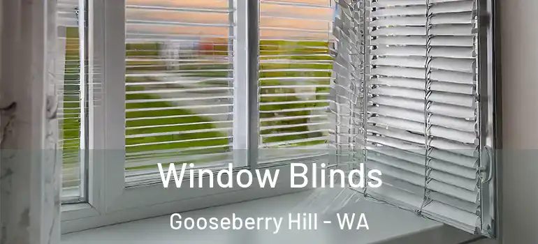  Window Blinds Gooseberry Hill - WA