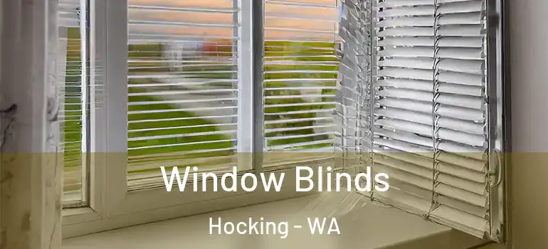 Window Blinds Hocking - WA
