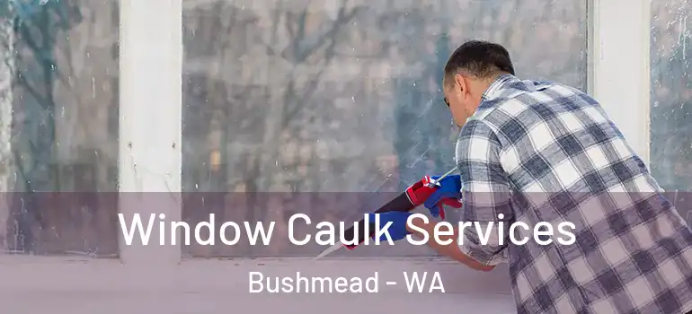 Window Caulk Services Bushmead - WA