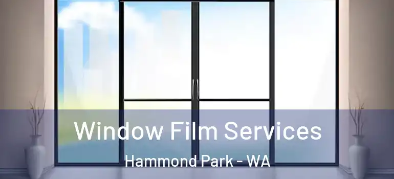 Window Film Services Hammond Park - WA