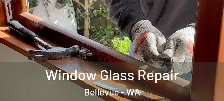  Window Glass Repair Bellevue - WA