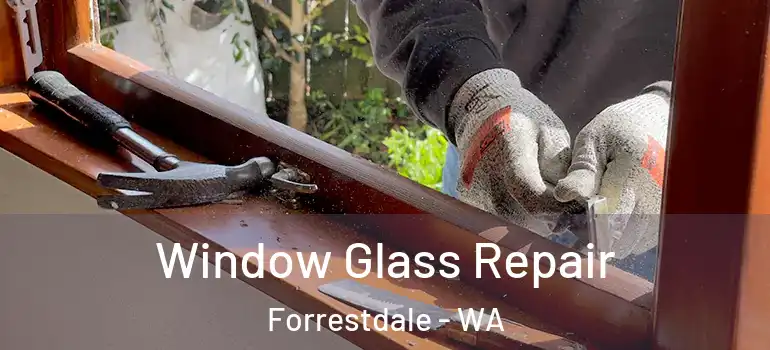  Window Glass Repair Forrestdale - WA