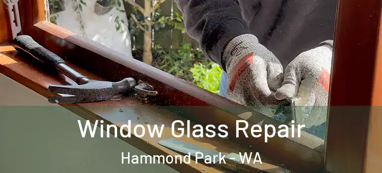  Window Glass Repair Hammond Park - WA