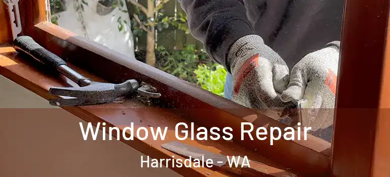 Window Glass Repair Harrisdale - WA