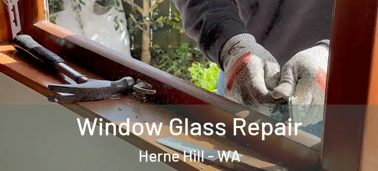 Window Glass Repair Herne Hill - WA