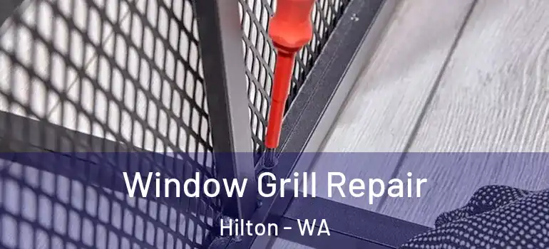  Window Grill Repair Hilton - WA