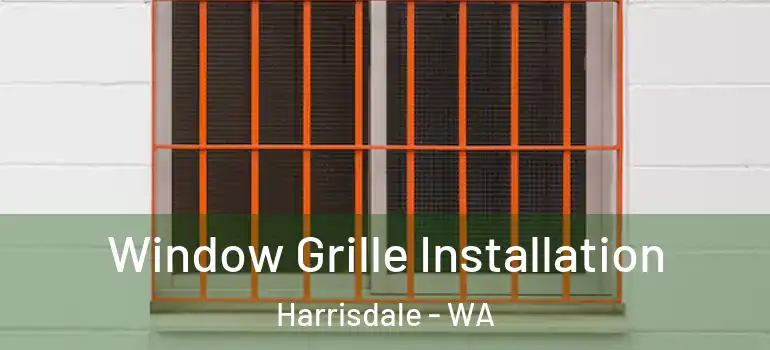  Window Grille Installation Harrisdale - WA