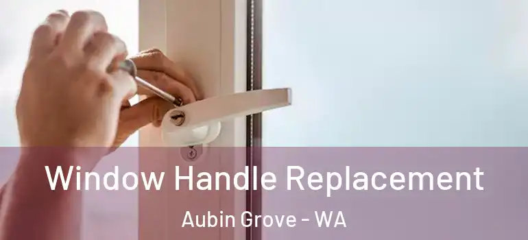 Window Handle Replacement Aubin Grove - WA