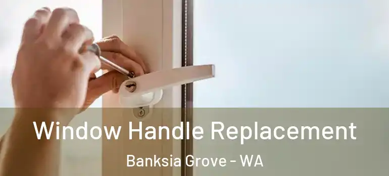 Window Handle Replacement Banksia Grove - WA