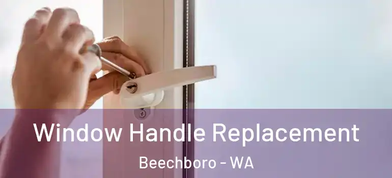 Window Handle Replacement Beechboro - WA