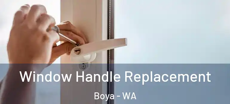 Window Handle Replacement Boya - WA
