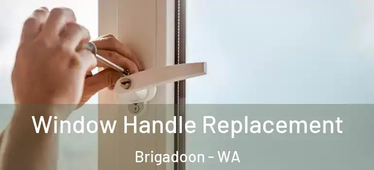 Window Handle Replacement Brigadoon - WA