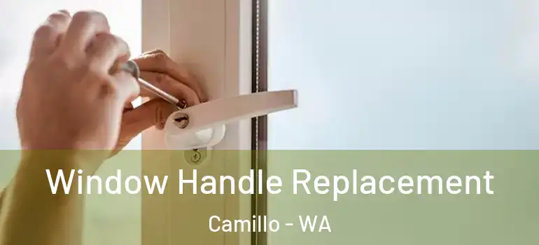Window Handle Replacement Camillo - WA