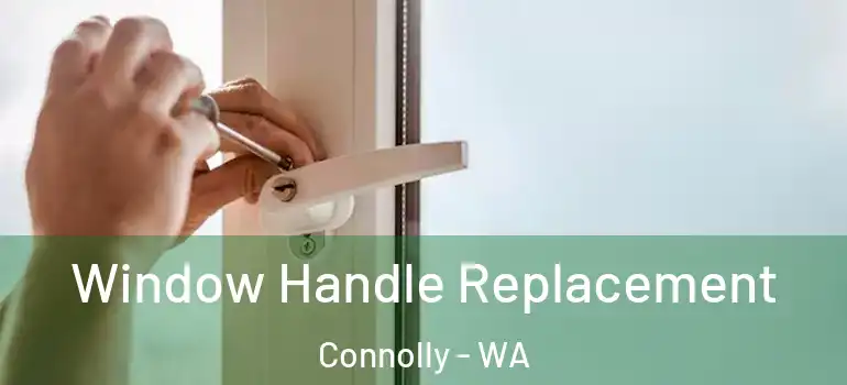  Window Handle Replacement Connolly - WA