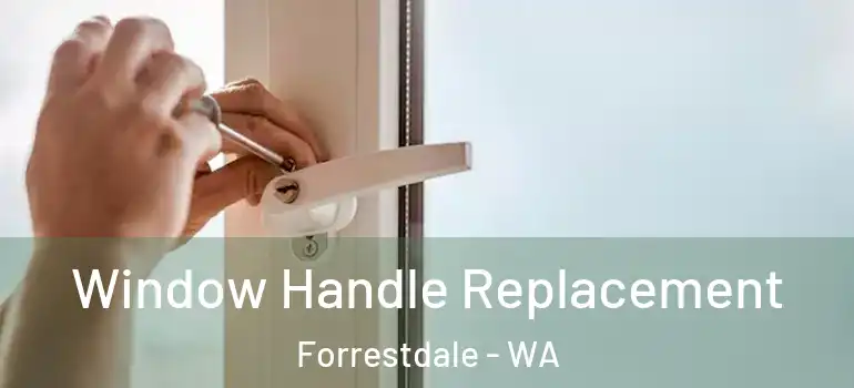  Window Handle Replacement Forrestdale - WA