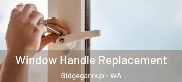  Window Handle Replacement Gidgegannup - WA