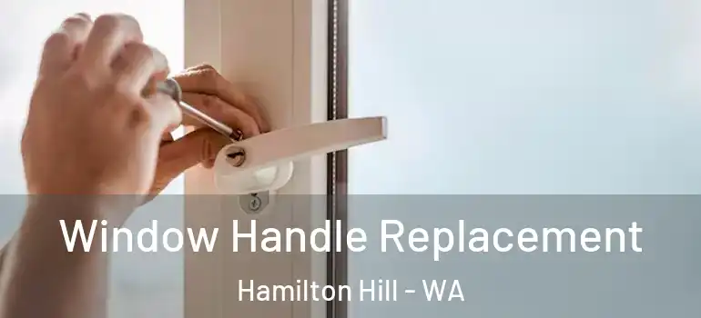 Window Handle Replacement Hamilton Hill - WA