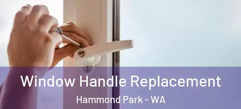  Window Handle Replacement Hammond Park - WA