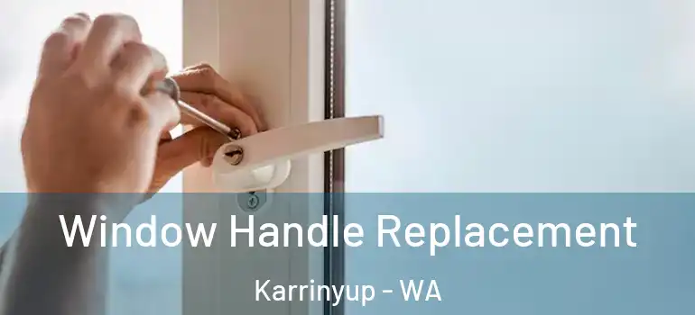 Window Handle Replacement Karrinyup - WA