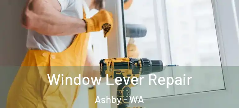  Window Lever Repair Ashby - WA
