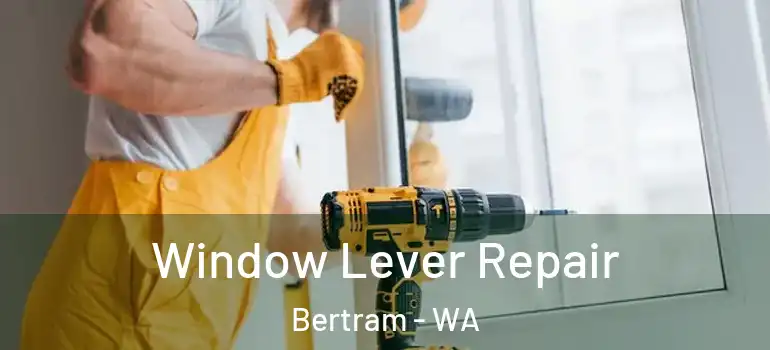 Window Lever Repair Bertram - WA