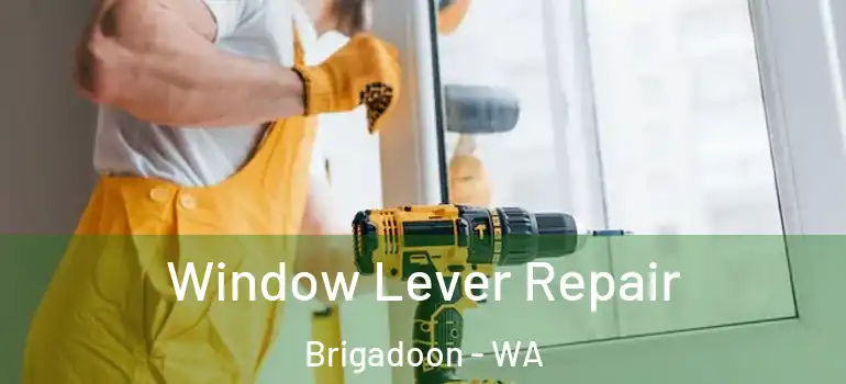  Window Lever Repair Brigadoon - WA