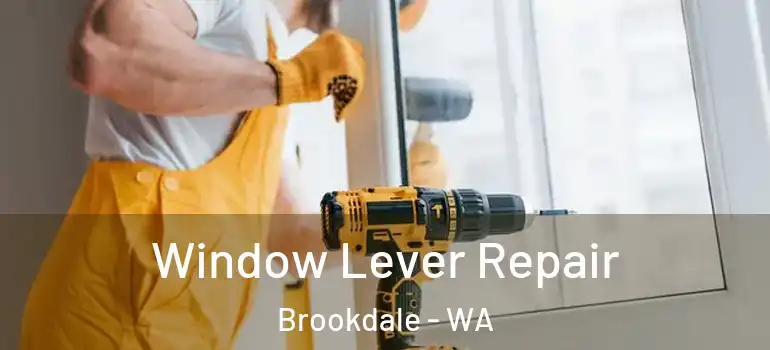  Window Lever Repair Brookdale - WA
