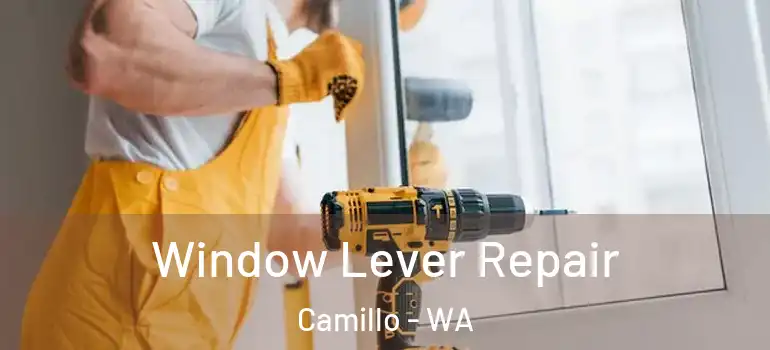  Window Lever Repair Camillo - WA